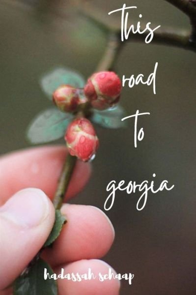 Cover for Hadassah Schaap · This Road to Georgia (Paperback Book) (2020)