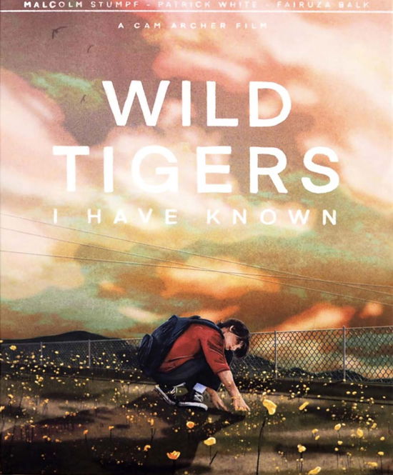 Cover for Wild Tigers I Have Known (DVD) (2021)