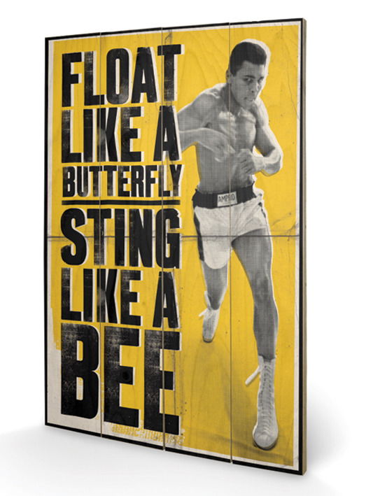 Cover for Muhammad Ali · Muhammad Ali - Float Like A Butterfly (Stampa Su Legno 59X40Cm) (Toys)