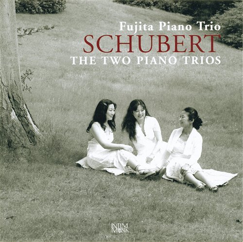 Cover for Fujita Piano Trio · The Two Piano Trios (CD) (2021)