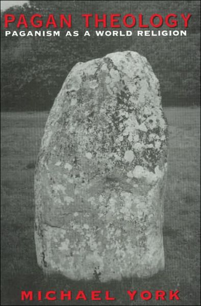 Cover for Michael York · Pagan Theology: Paganism as a World Religion (Paperback Book) [New edition] (2005)