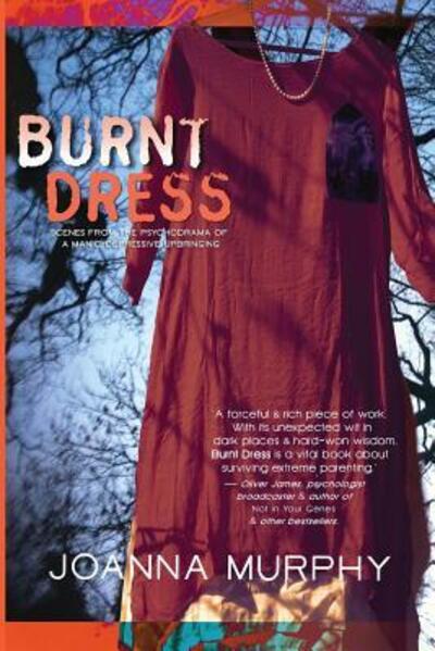 Cover for Joanna Murphy · Burnt Dress (Paperback Book) (2017)