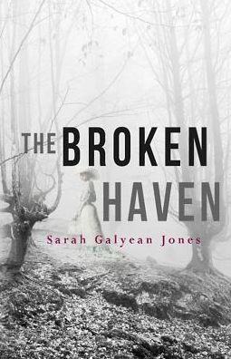 Cover for Sarah Galyean Jones · The Broken Haven (Paperback Book) (2016)