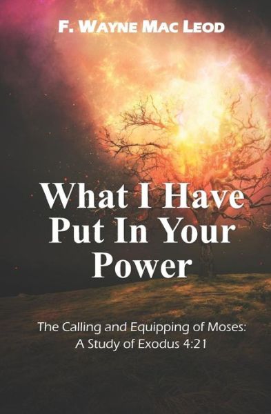 Cover for F Wayne Mac Leod · What I Have Put in Your Power (Taschenbuch) (2019)