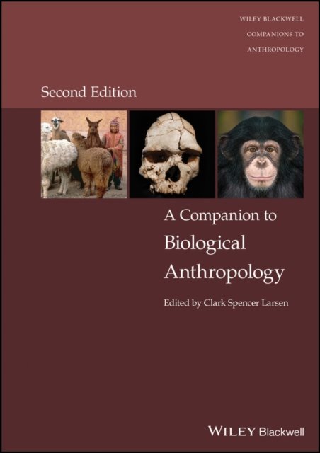 Cover for CS Larsen · Companion to Biological Anthropology (Paperback Book) (2025)