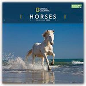 Cover for Kalender · Horses National Geographic Square Wall Calendar 2022 (Calendar) (2021)