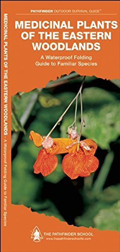 Cover for Dave Canterbury · Medicinal Plants of the Eastern Woodlands: A Waterproof Folding Guide to Familiar Species - Pathfinder Outdoor Survival Guide Series (Pamflet) [Fol Chrt edition] (2013)