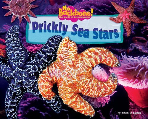 Cover for Natalie Lunis · Prickly Sea Stars (No Backbone! the World of Invertebrates) (Gebundenes Buch) (2007)