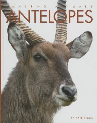 Cover for Kate Riggs · Antelopes (Hardcover Book) (2016)