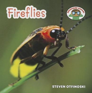 Cover for Steven Otfinoski · Fireflies (Backyard Safari) (Pocketbok) (2014)