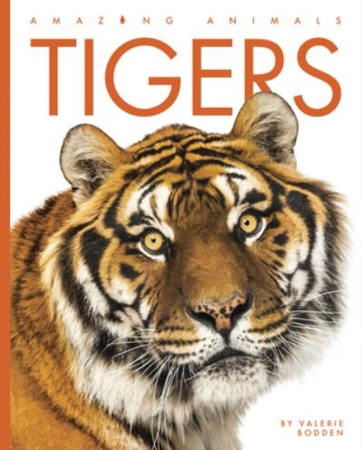 Tigers - Valerie Bodden - Andet - Creative Company, The - 9781682771082 - 5. juli 2022