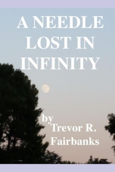 Cover for Trevor R Fairbanks · A Needle Lost in Infinity (Paperback Book) (2019)