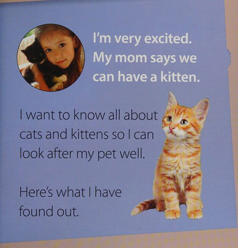 Kitten (My New Pet) - Jinny Johnson - Livres - W.B. Saunders Company - 9781770922082 - 2013