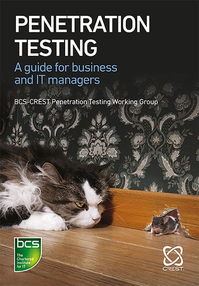 Cover for Nick Furneaux · Penetration Testing: A guide for business and IT managers (Pocketbok) (2019)