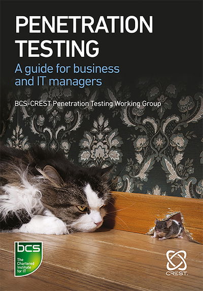 Penetration Testing: A guide for business and IT managers - Nick Furneaux - Books - BCS Learning & Development Limited - 9781780174082 - September 11, 2019