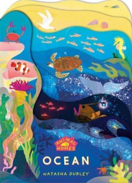 Cover for Animal Homes Ocean · Animal Homes: Ocean - Animal Homes (Board book) (2023)