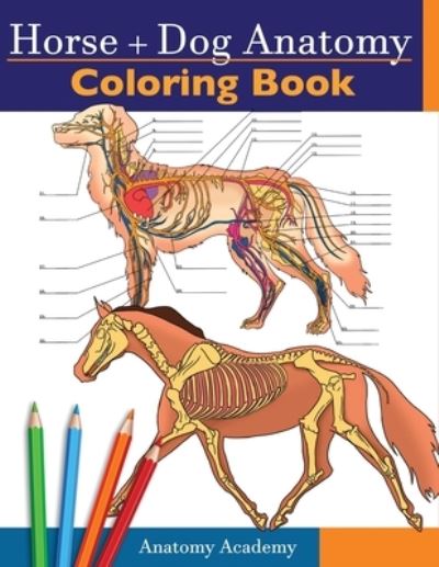 Cover for Anatomy Academy · Horse + Dog Anatomy Coloring Book (Paperback Book) (2020)