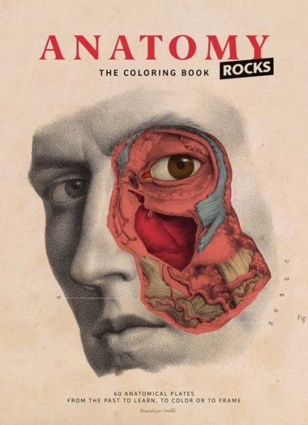 Rodolphe Lachat · Anatomy Rocks: The Coloring Book (Gebundenes Buch) [Reprint edition] (2019)