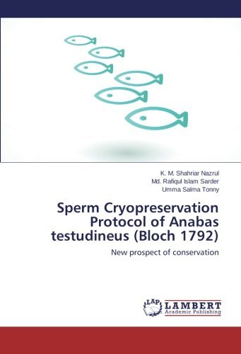Cover for Umma Salma Tonny · Sperm Cryopreservation Protocol of Anabas Testudineus (Bloch 1792): New Prospect of Conservation (Taschenbuch) (2013)