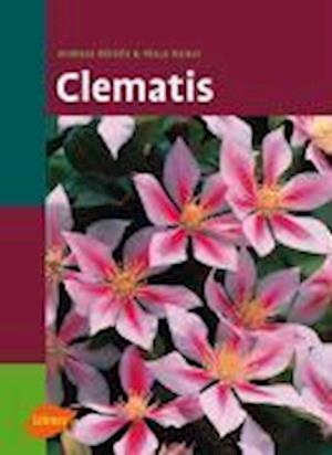Clematis - Andreas Bärtels - Books - Ulmer Eugen Verlag - 9783800144082 - November 18, 2004