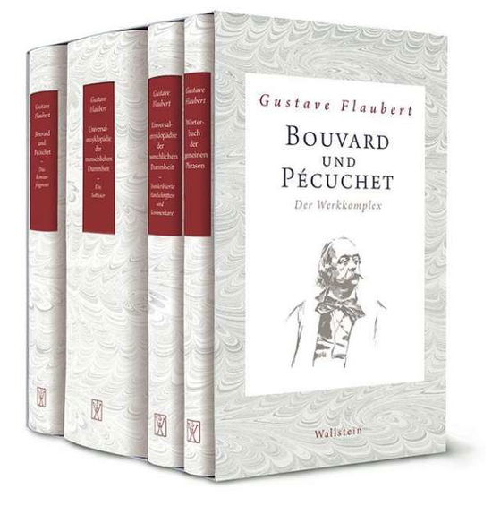 Cover for Flaubert · Bouvard und Pécuchet.1-4 (Book)