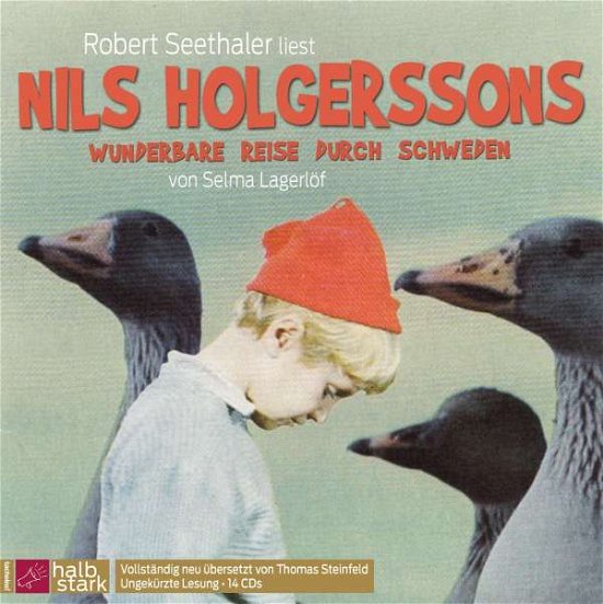 Nils Holgerssons wunderbare Re - Lagerlöf - Livros -  - 9783864843082 - 