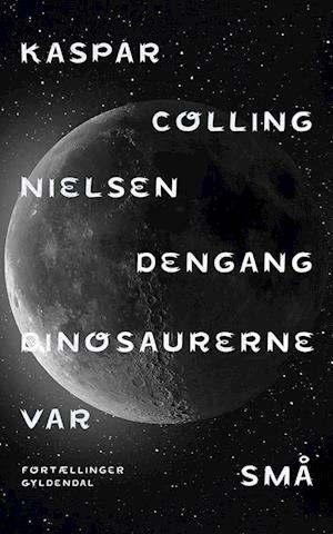 Kaspar Colling Nielsen · Dengang dinosaurerne var små (Bound Book) [2nd edition] (2019)