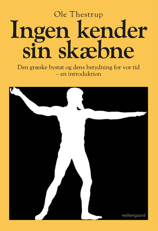 Ole Emil Thestrup · Ingen kender sin skæbne (Sewn Spine Book) [1st edition] (2023)