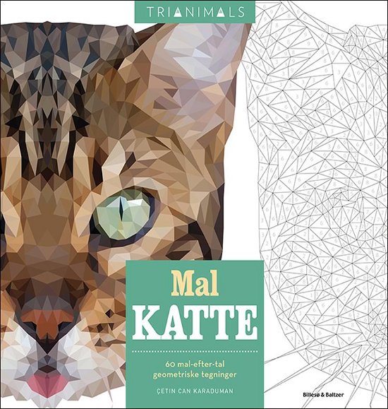 Mal katte - Çetin Can Karaduman - Books - Billesø & Baltzer - 9788778424082 - November 1, 2016