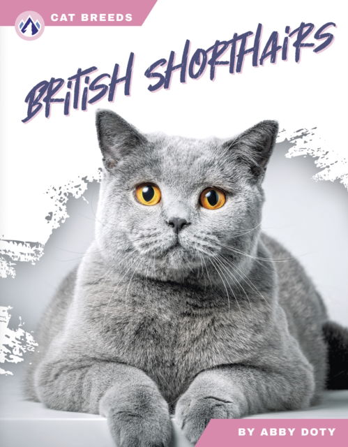 Cover for Abby Doty · British Shorthairs - Cat Breeds (Hardcover Book) (2025)