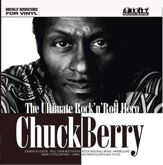 Cover for Chuck Berry · Berry Chuck - The Ultimate Rock N Roll Hero (LP) (2017)