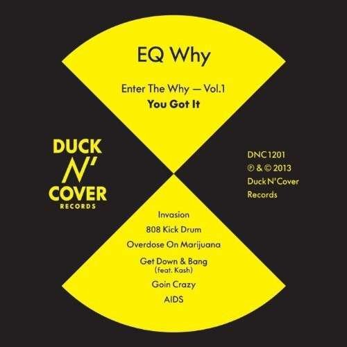 Cover for Eq Why · Enter the Why Vol. 1: You Got It (LP) (2013)