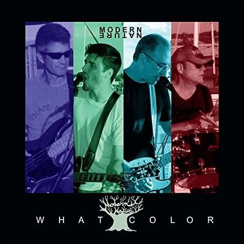 Cover for Modern Nature · What Color (CD) (2014)