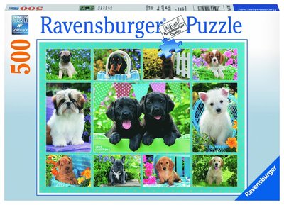 Cover for Ravensburger · Putzige Hündchen (Puzzle)14708 (Bok) (2019)