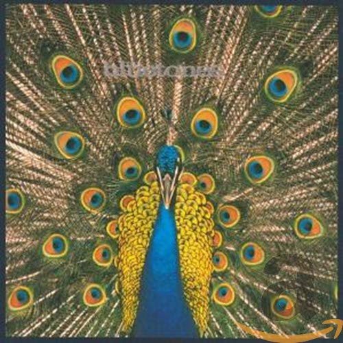 Cover for Bluetones · Expecting To Fly + 2 (CD) (1996)