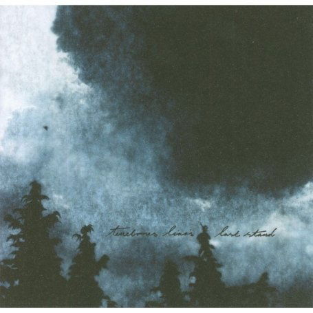 Cover for Tenebrous Liar · Last Stand (CD) (2008)