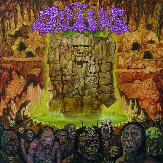 Cover for Dipygus (LP) (2024)