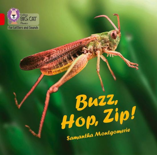 Cover for Samantha Montgomerie · Buzz, Hop, Zip! Big Book: Band 02a/Red a - Collins Big Cat Phonics for Letters and Sounds (Inbunden Bok) (2020)