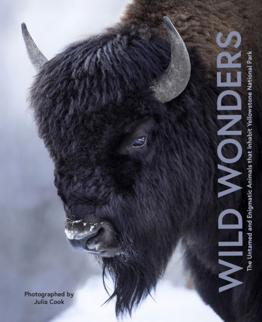 Cover for Julia Cook · Wild Wonders: The Untamed and Enigmatic Animals that Inhabit Yellowstone National Park (Hardcover Book) (2025)