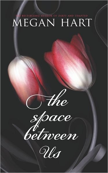 Cover for Megan Hart · The Space Between Us (Paperback Book) [Original edition] (2012)