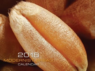 Cover for Nathan Myhrvold · Modernist Bread 2018 Wall Calendar (Calendar) (2017)