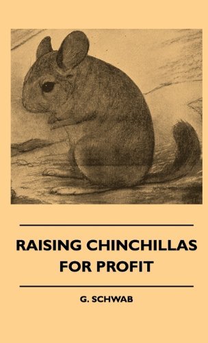 Cover for G. Schwab · Raising Chinchillas for Profit (Inbunden Bok) (2010)