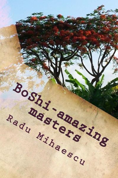 Cover for Radu Mihaescu · Boshi-amazing Masters (Paperback Book) (2015)