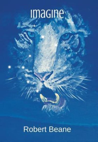 Cover for Robert Beane · Imagine (Hardcover Book) (2016)