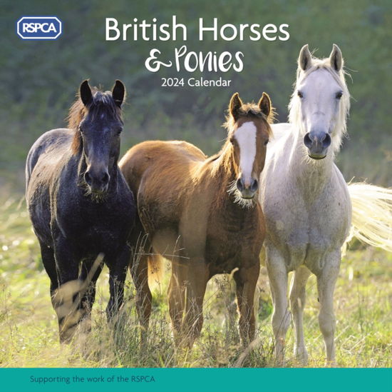 RSPCA British Horses & Ponies Square Wall Calendar 2024 (Kalender) (2023)