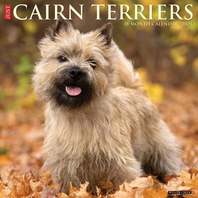 Willow Creek Press · Just Cairn Terriers 2025 12 X 12 Wall Calendar (Kalender) (2024)