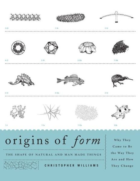 Cover for Christopher Williams · Origins of Form: The Shape of Natural and Man-made Things-Why They Came to Be the Way They Are and How They Change (Paperback Book) (2013)