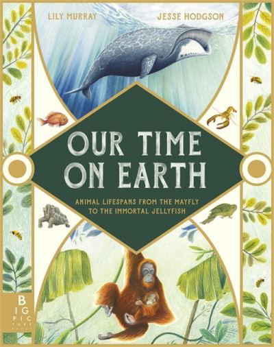 Our Time on Earth: From the Mayfly to the Immortal Jellyfish - Lily Murray - Books - Templar Publishing - 9781787417083 - June 9, 2022