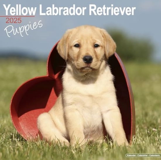 Cover for Yellow Labrador Puppies Calendar 2025  Square Dog Puppy Breed Wall Calendar - 16 Month (Calendar) (2024)