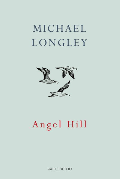 Cover for Michael Longley · Angel Hill (Paperback Book) (2017)